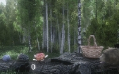 浆果挑战赛/Berries Challenge