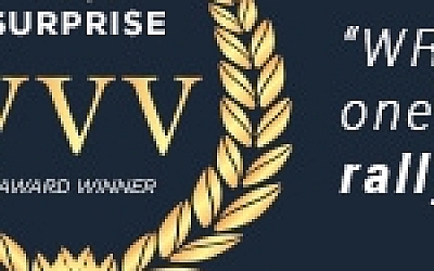 世界汽车拉力锦标赛9/WRC 9 FIA World Rally Championship