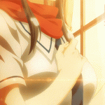 女忍反射:闪乱神乐/Senran Kagura Reflexions